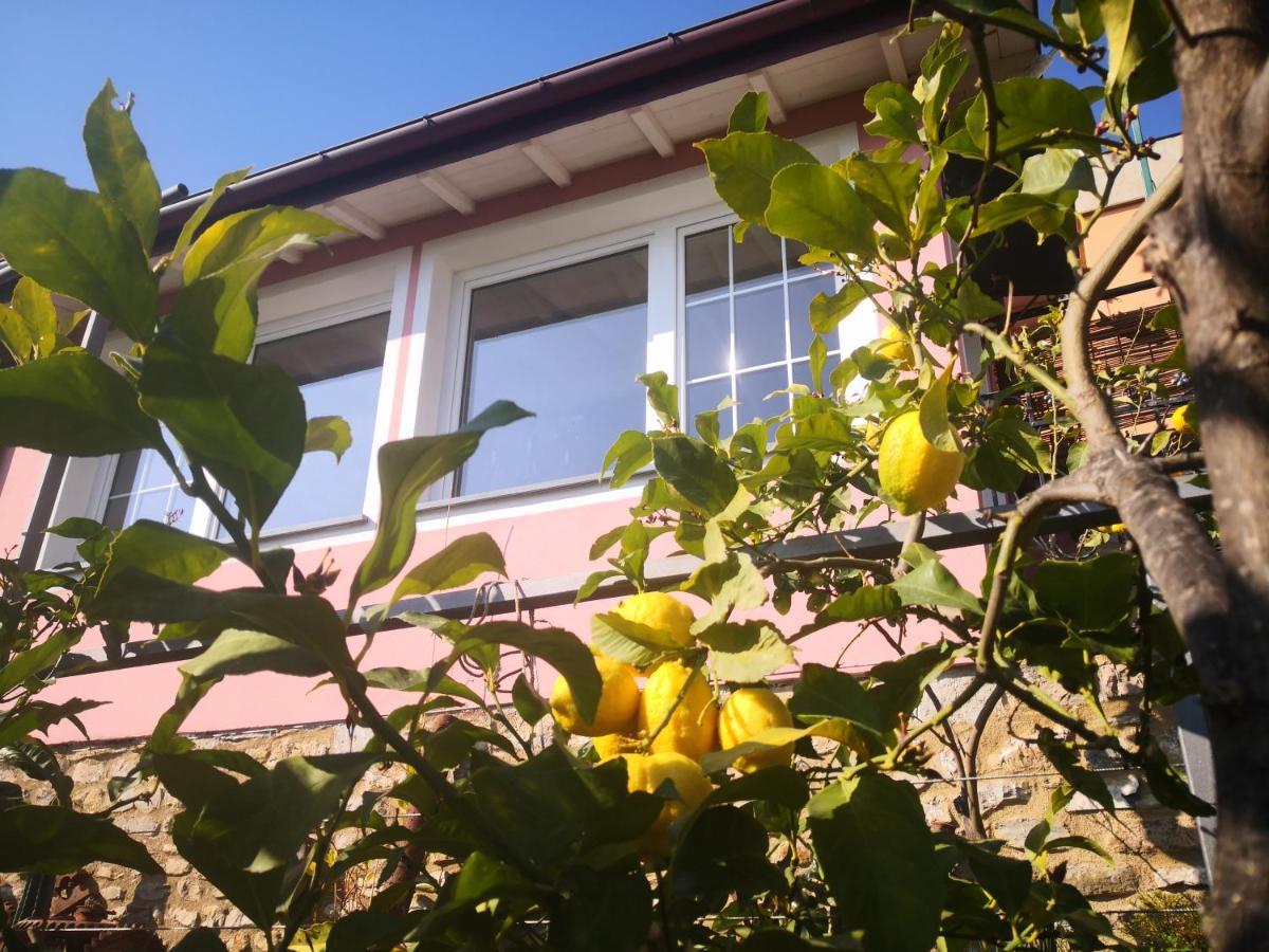 Florinda Lemon'S Suite Cervo Buitenkant foto