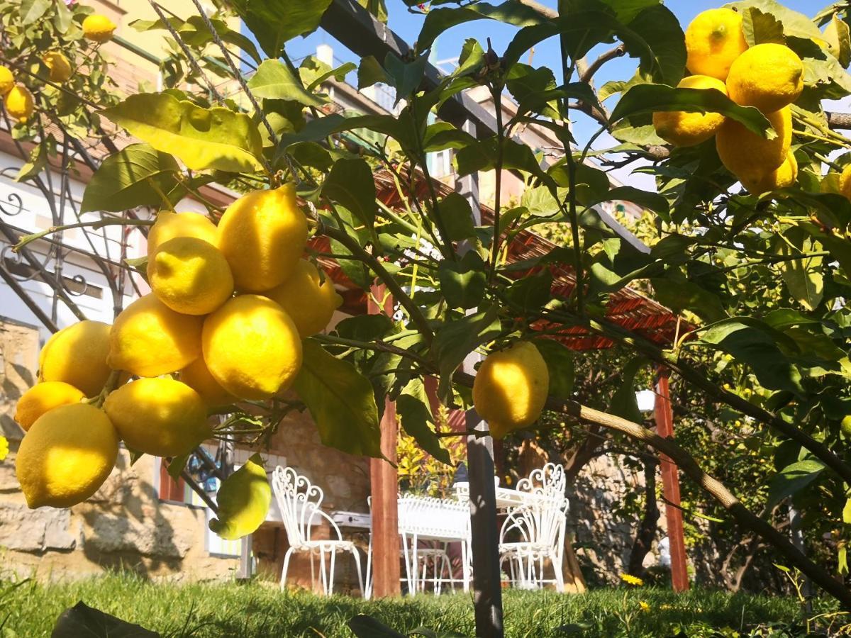 Florinda Lemon'S Suite Cervo Buitenkant foto