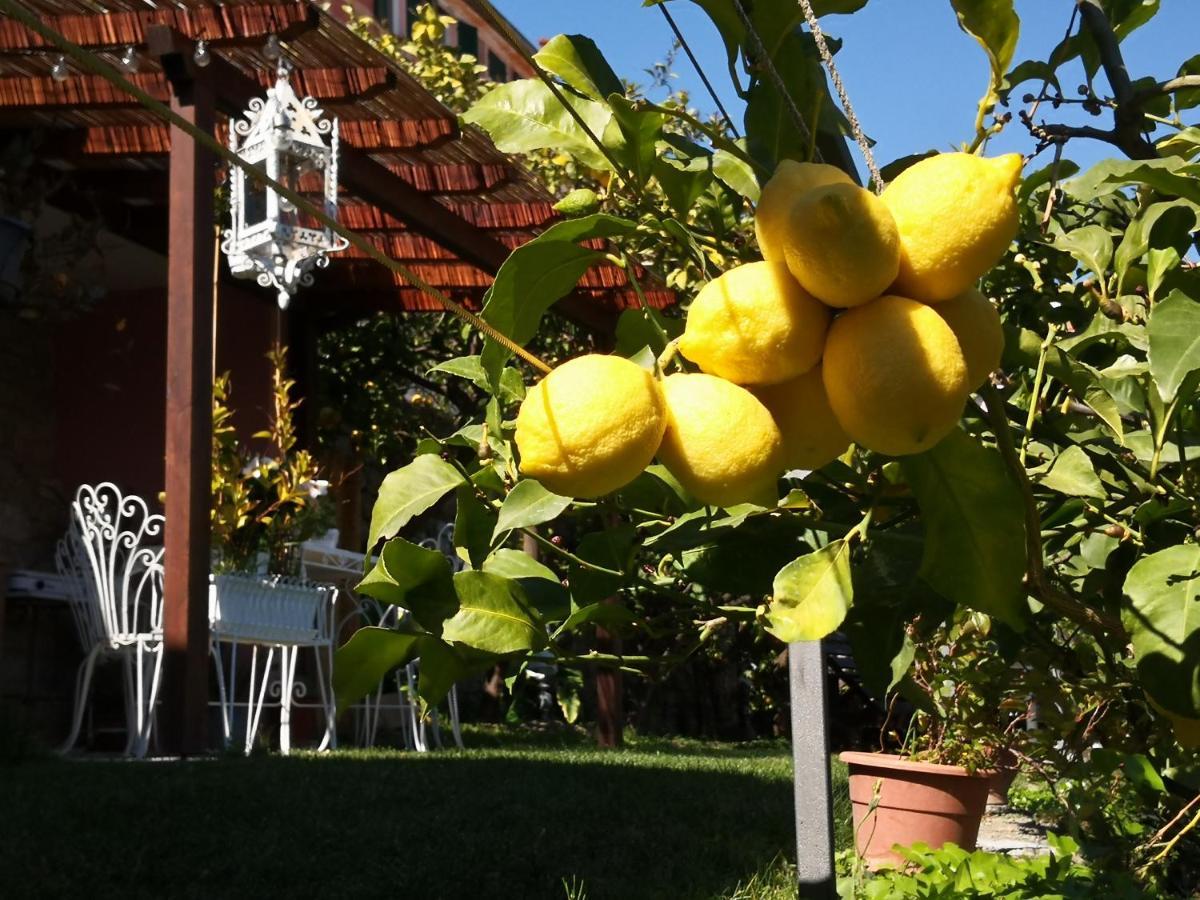 Florinda Lemon'S Suite Cervo Buitenkant foto