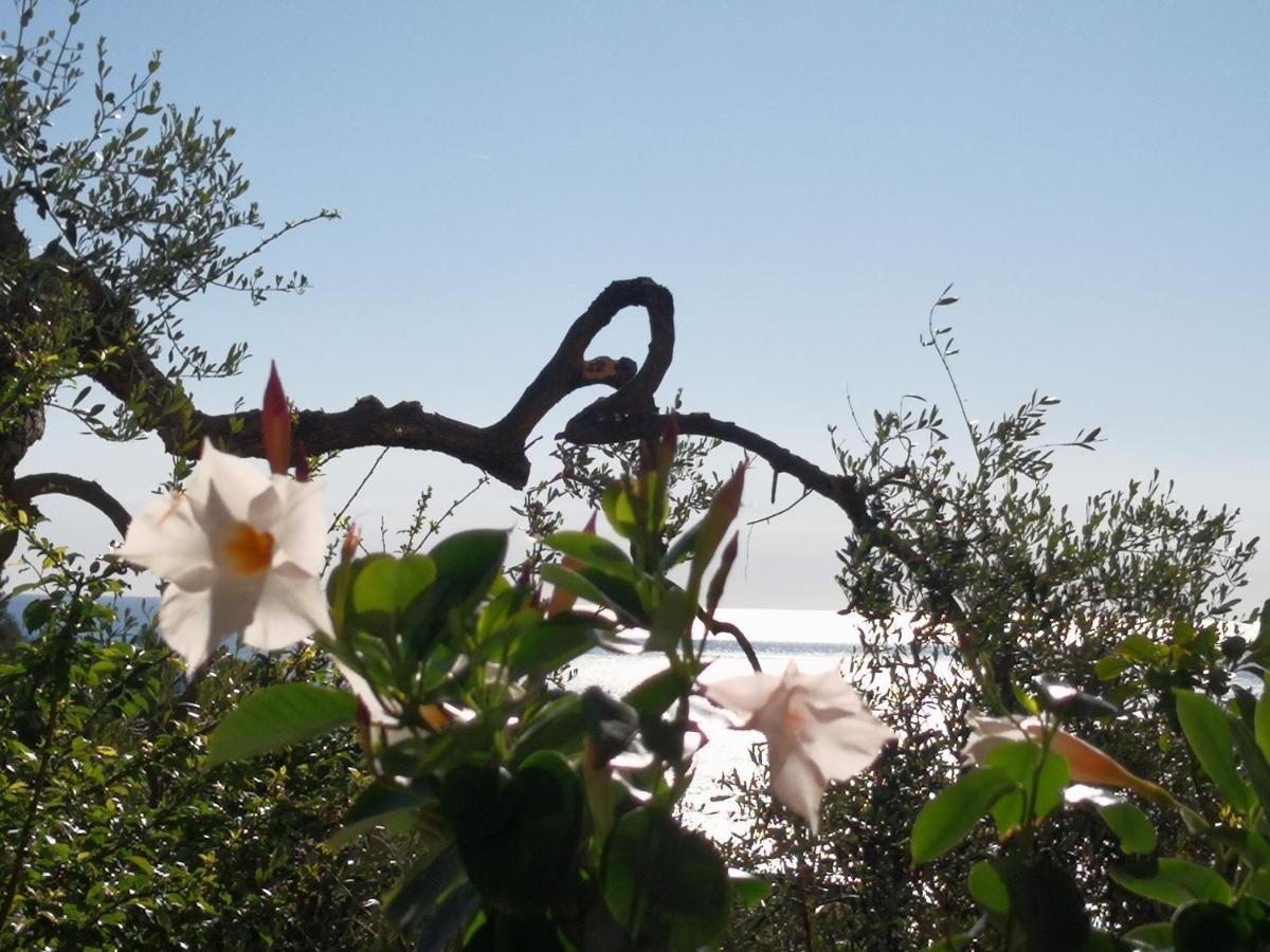 Florinda Lemon'S Suite Cervo Buitenkant foto