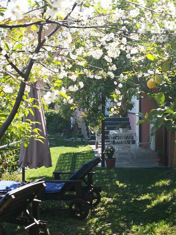 Florinda Lemon'S Suite Cervo Buitenkant foto