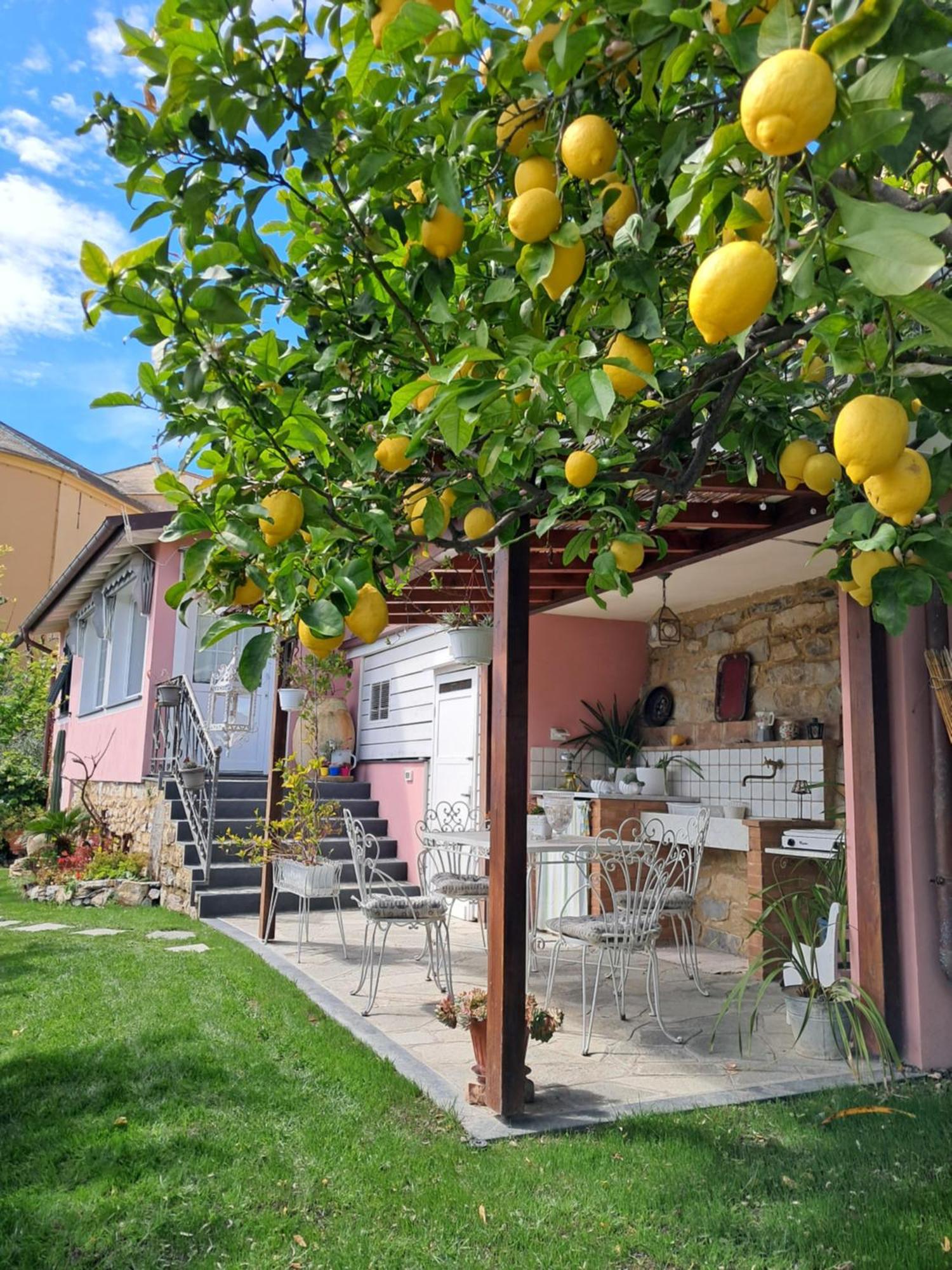 Florinda Lemon'S Suite Cervo Buitenkant foto