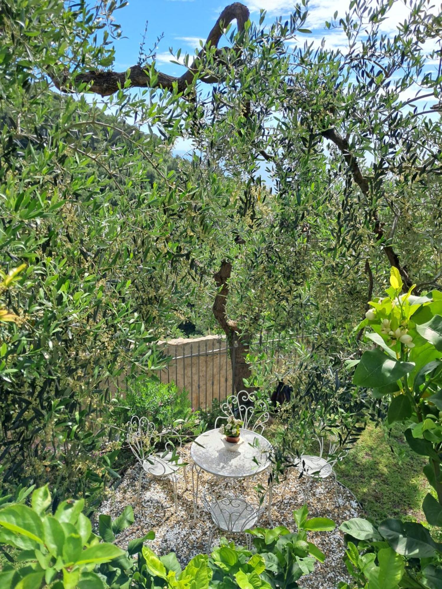 Florinda Lemon'S Suite Cervo Buitenkant foto